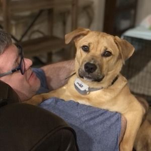 Meet your Posher, Scott